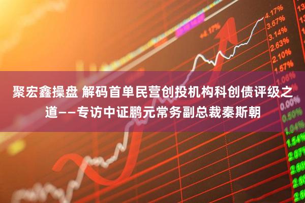 聚宏鑫操盘 解码首单民营创投机构科创债评级之道——专访中证鹏元常务副总裁秦斯朝