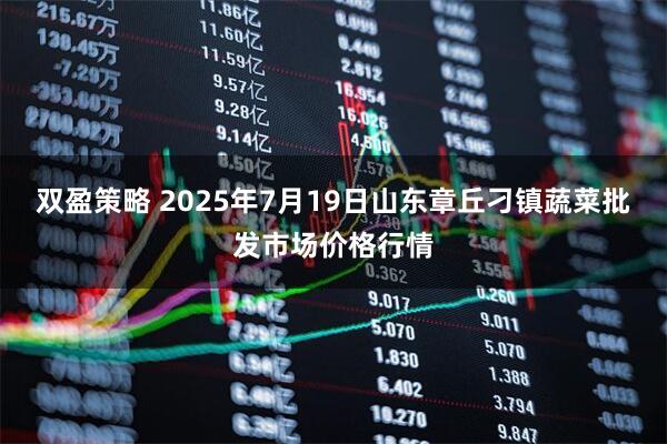 双盈策略 2025年7月19日山东章丘刁镇蔬菜批发市场价格行情