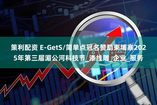 策利配资 E-GetS/简单点冠名赞助柬埔寨2025年第三届湄公河科技节_漆线雕_企业_服务
