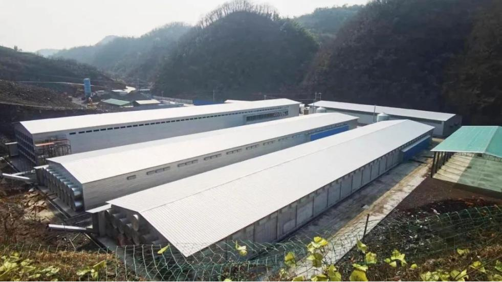 来源：蛋品世界综合、湖北省粮油食品进出口集团